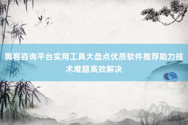 黑客咨询平台实用工具大盘点优质软件推荐助力技术难题高效解决