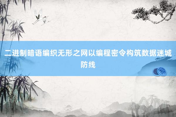 二进制暗语编织无形之网以编程密令构筑数据迷城防线