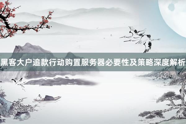 黑客大户追款行动购置服务器必要性及策略深度解析
