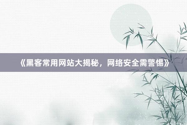 《黑客常用网站大揭秘，网络安全需警惕》